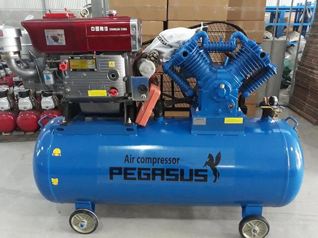 máy nén khí giá rẻ Pegasus TM-W-1.0/8-330L